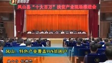 河池金城江新闻最新,河池金城江新闻最新报道