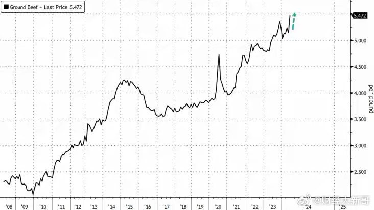 新澳门六2004开奖记录,探索新澳门六2004开奖记录，历史数据与未来展望