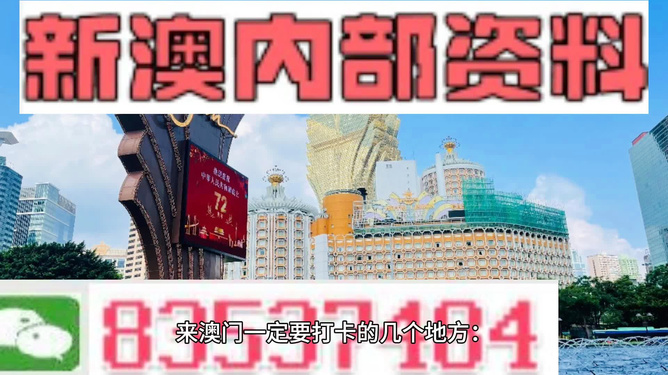 2024年香港正版内部资料,探索香港，2024年正版内部资料的深度解读