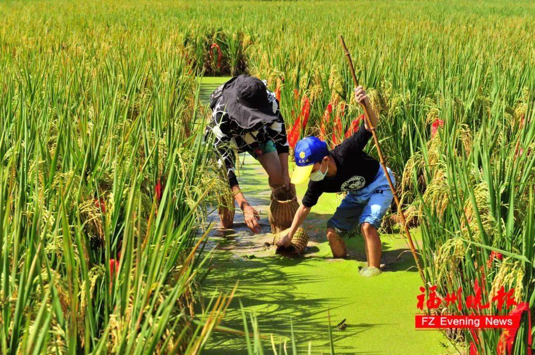 新澳天天开奖资料大全旅游团,新澳天天开奖资料大全旅游团，探索未知，体验多彩旅程