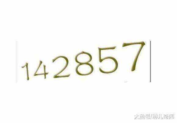 7777788888一肖一码,探索神秘数字组合，77777与88888一肖一码的世界