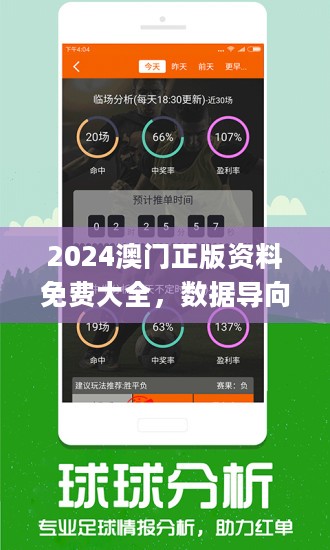 新澳2025大全正版免费资料,新澳2025大全正版免费资料，探索与揭秘