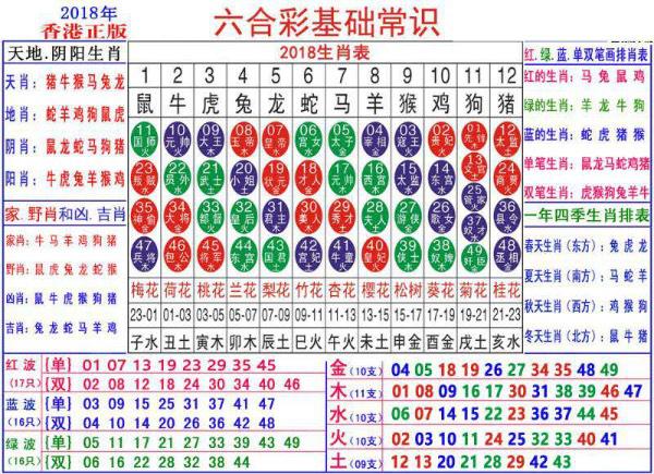 澳门正版资料大全资料生肖卡,澳门正版资料大全资料生肖卡，探索与解读