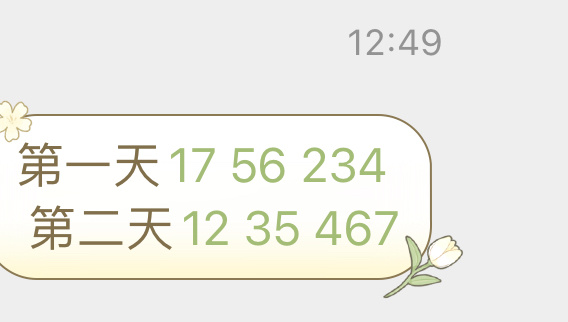 新澳门今晚开特马结果查询025期 05-47-31-33-19-02T：23,新澳门今晚开特马结果查询，探索与期待第025期的神秘面纱