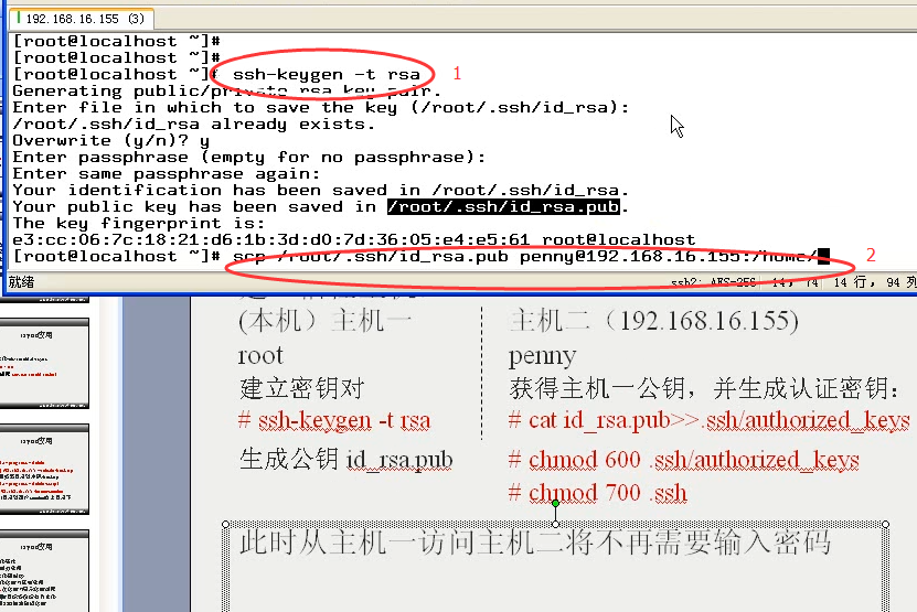 澳门三肖三码精准100%公司认证039期 03-08-12-15-16-39C：27,澳门三肖三码精准100%公司认证，揭秘彩票背后的秘密与策略分析